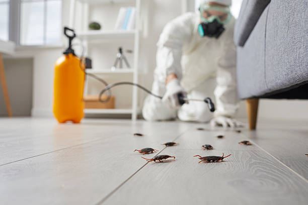 Post-Treatment Bed Bug Interceptor Monitoring in Brooklawn