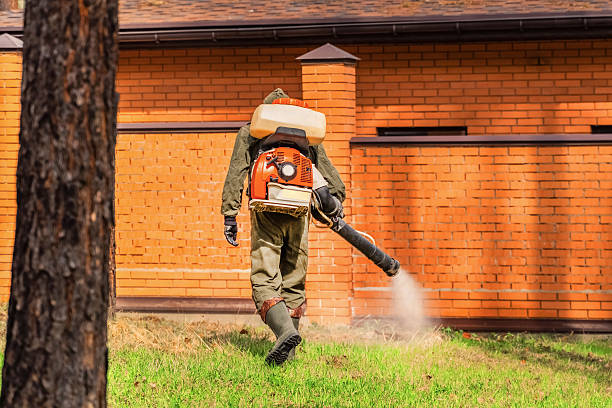 Bed Bug Clearance Verification and Documentation in Brooklawn